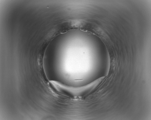 X0000076040424200609221125