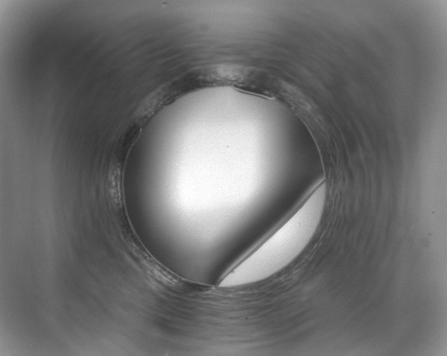 X0000076040425200609221125