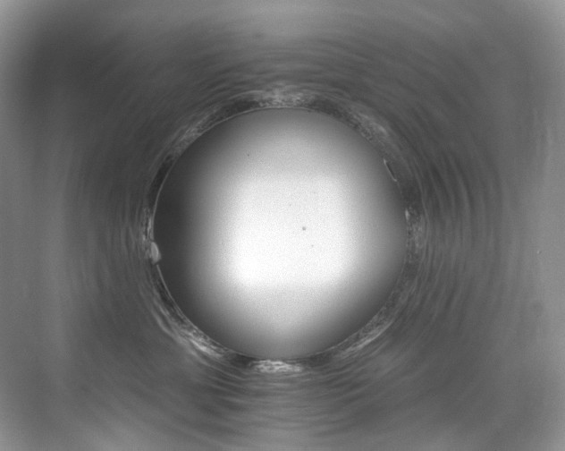 X0000076040429200609221124