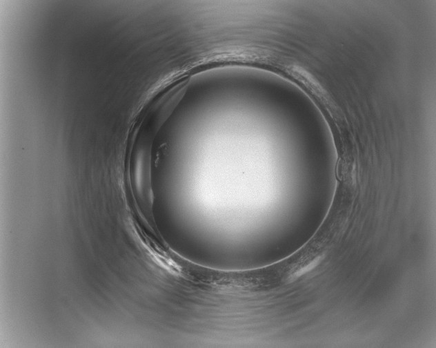 X0000076040434200609221124
