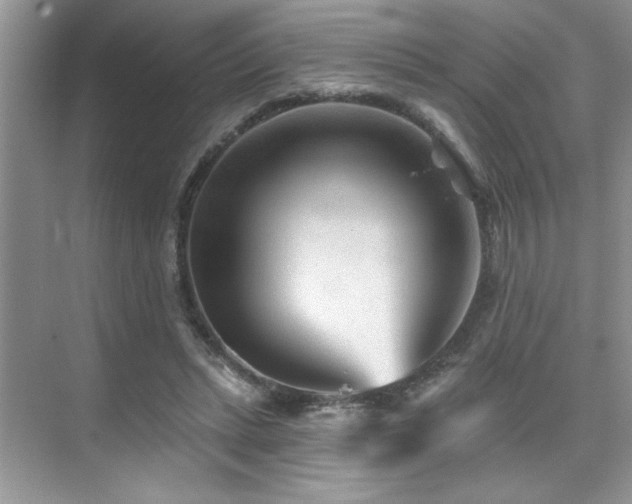 X0000076040447200609221124