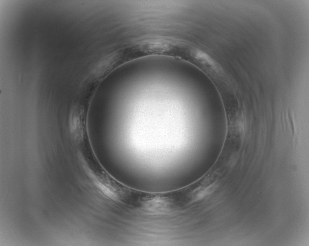 X0000076040460200609221124