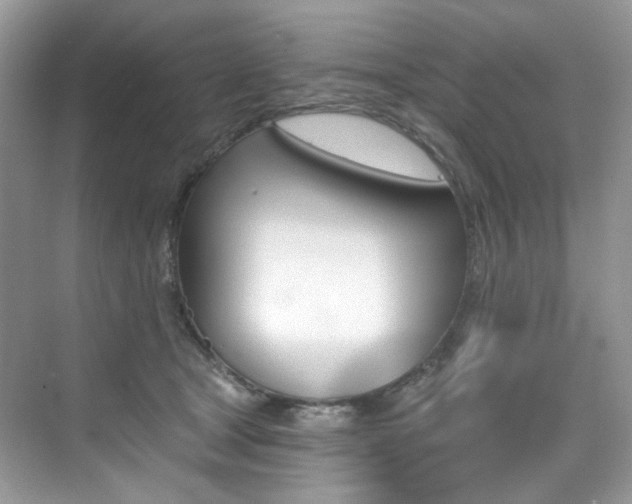 X0000076040465200609221124