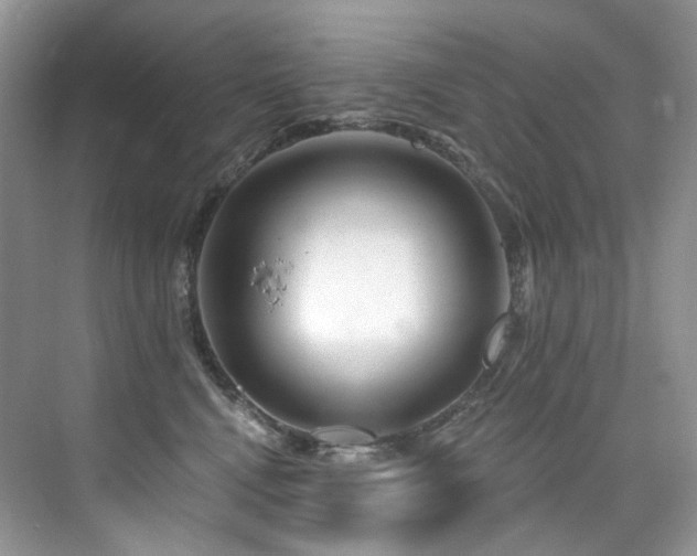 X0000076040472200609221124
