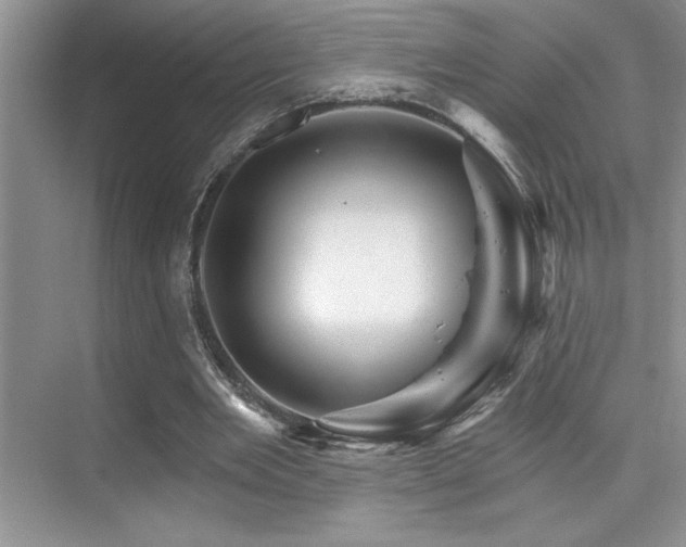 X0000076040485200609221124