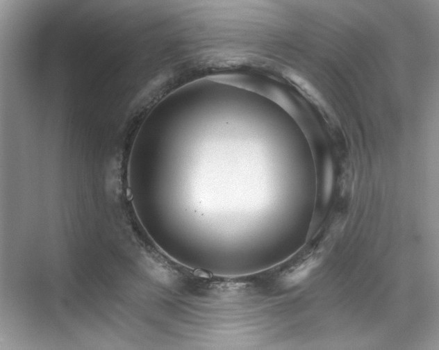 X0000076040497200609221123