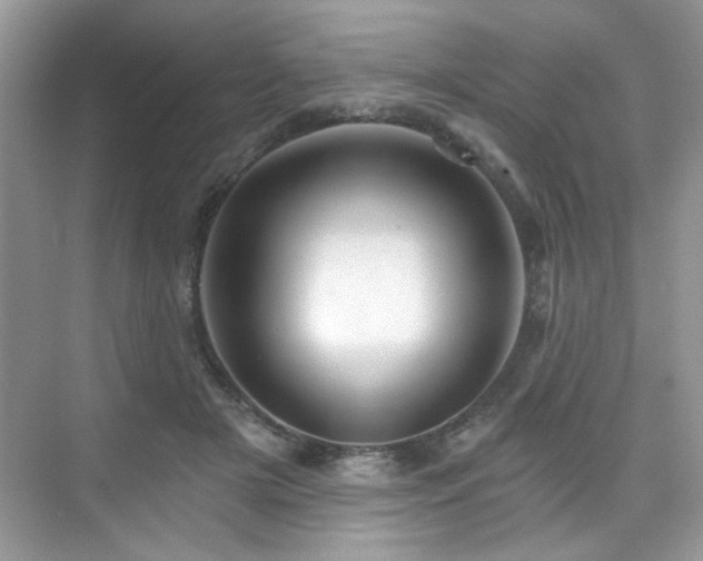 X0000076040505200609221123