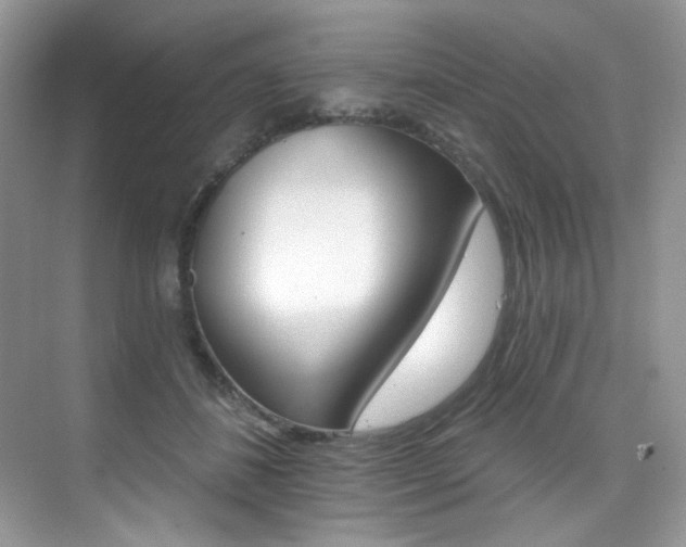 X0000076040508200609221123