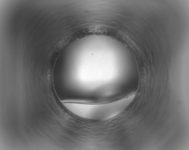 X0000076040513200609221123