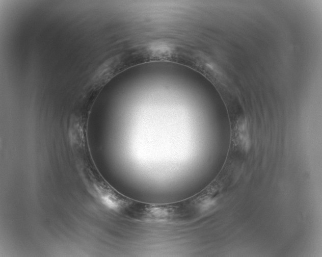 X0000076040522200609221123