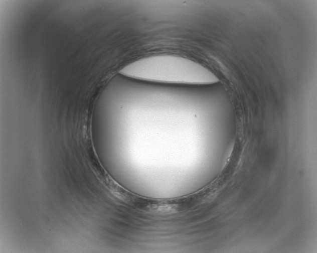 X0000076040553200609221122