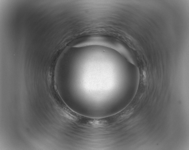 X0000076040558200609221122