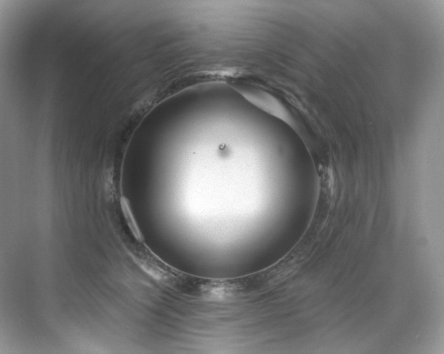 X0000076040564200609221123