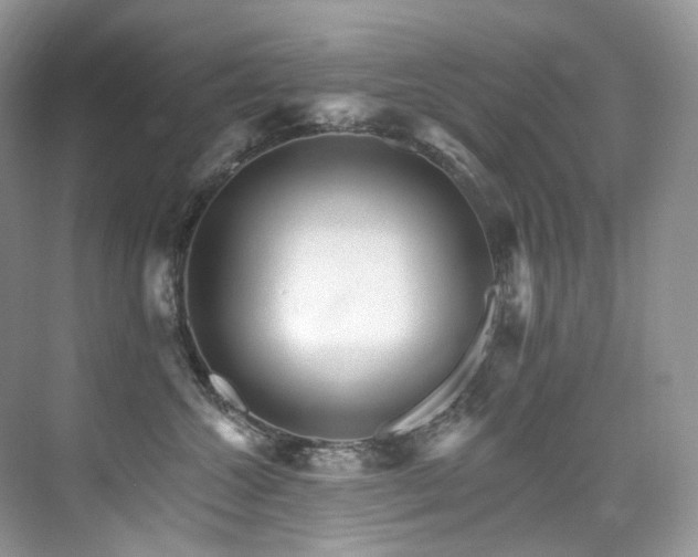 X0000076040572200609221123