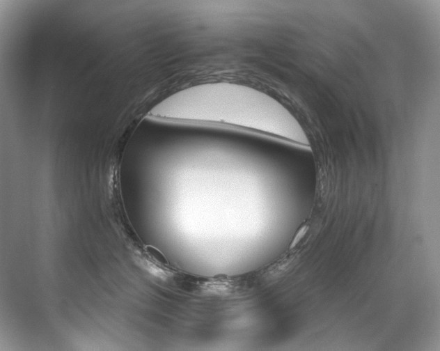 X0000076040574200609221123