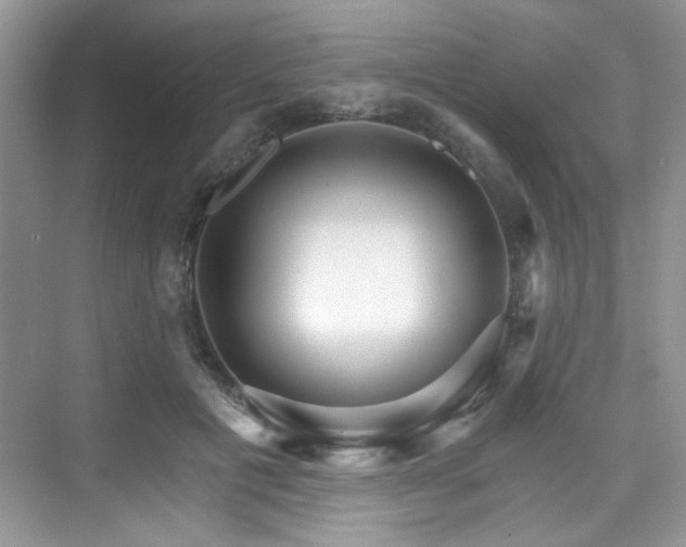 X0000076040601200609221122