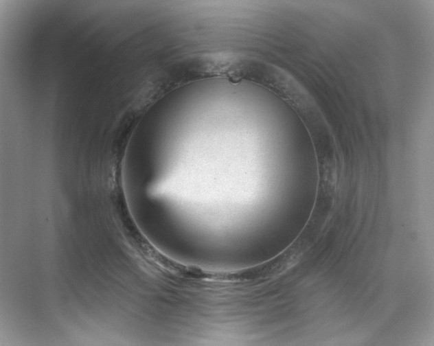X0000076040602200609221122