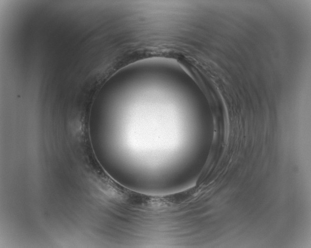 X0000076040608200609221121