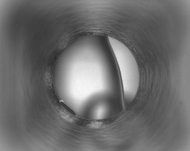 X0000076040609200609221121