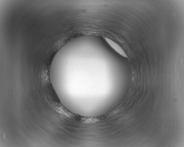 X0000076040621200609221121