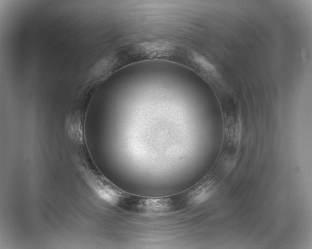 X0000076040622200609221121