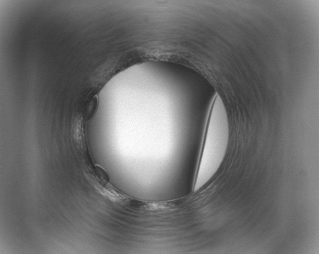 X0000076040623200609221121