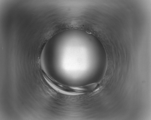 X0000076040624200609221121
