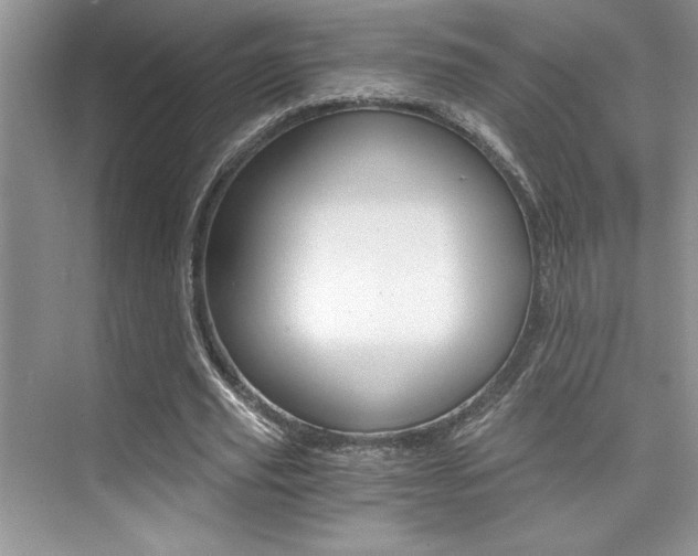 X0000076040629200609221120