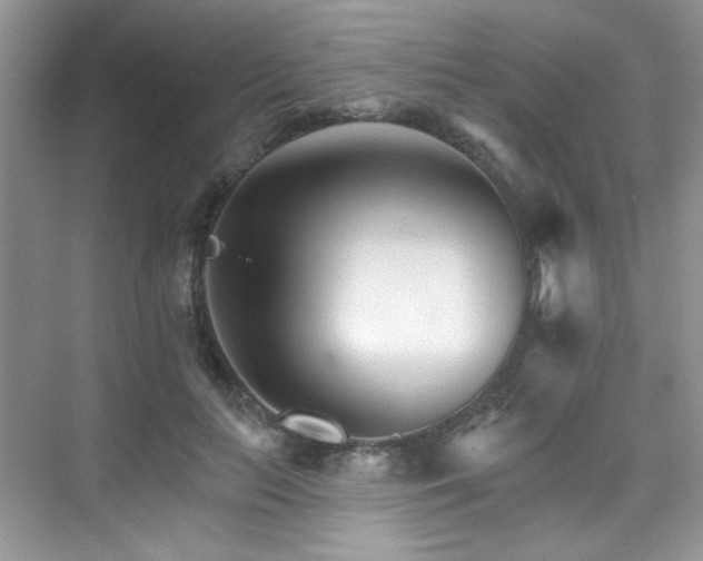 X0000076040647200609221121