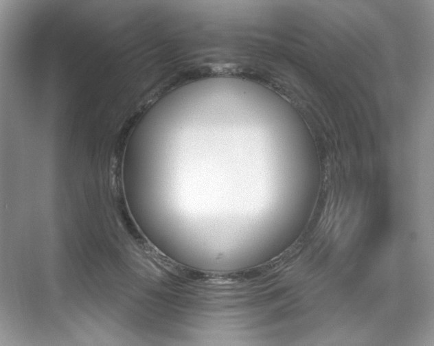 X0000076040650200609221121