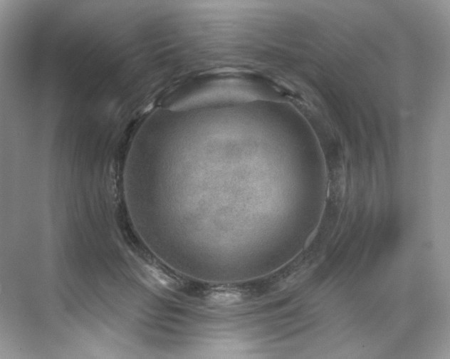 X0000076040653200609221121