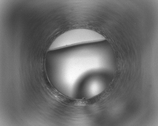 X0000076040656200609221121