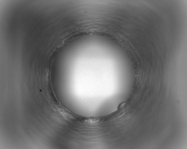 X0000076040660200609221121