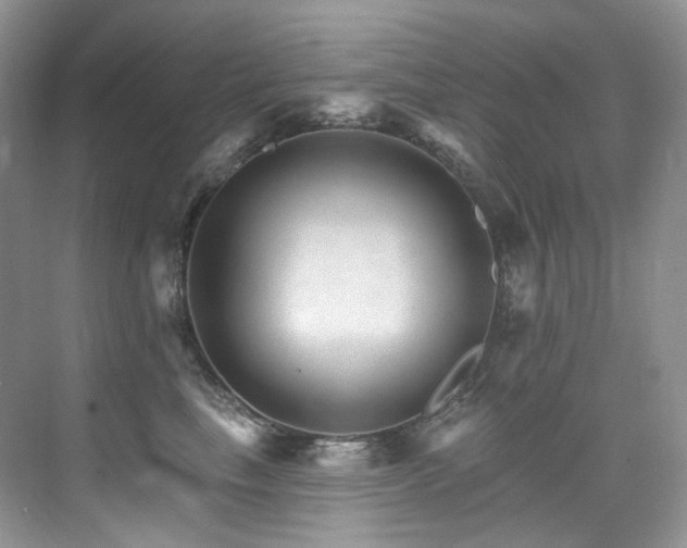 X0000076040665200609221121