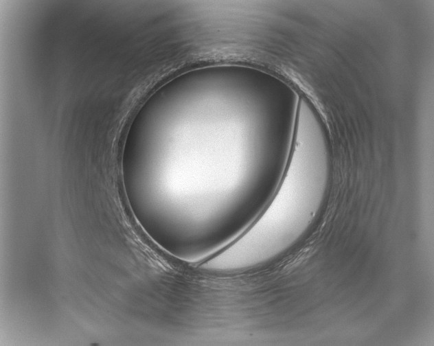 X0000076040673200609221120
