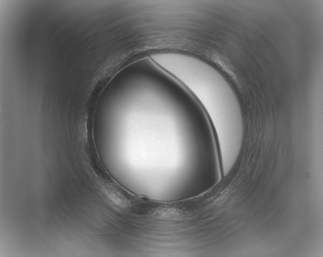 X0000076040685200609221120
