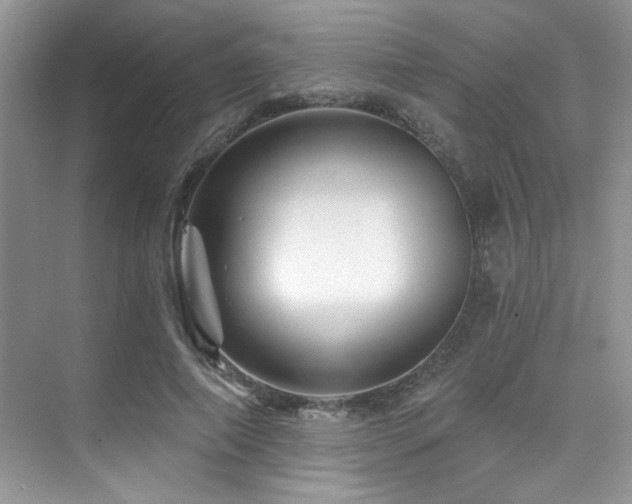 X0000076040690200609221120