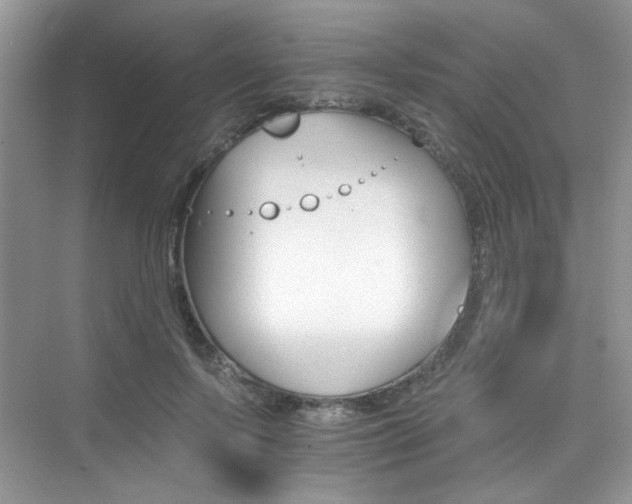 X0000076040695200609221120