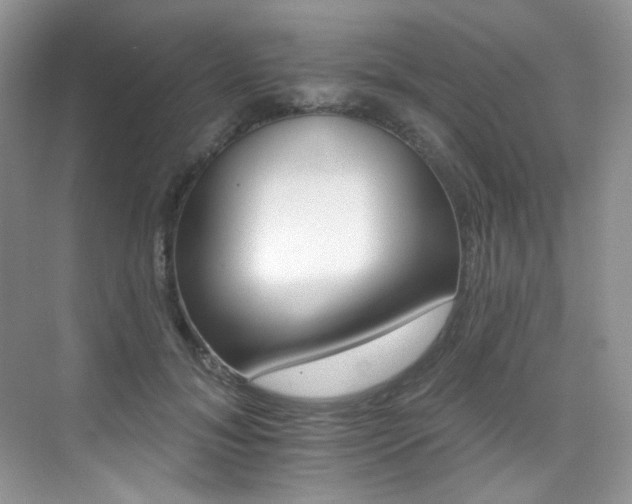 X0000076040700200609221120