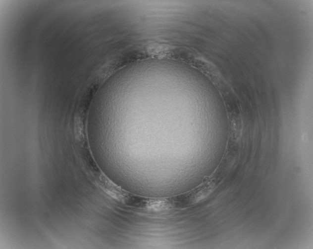 X0000076040705200609221120