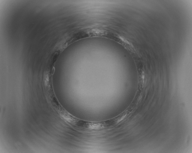 X0000076040709200609221120