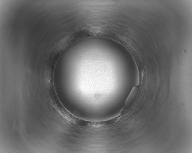 X0000076040710200609221120