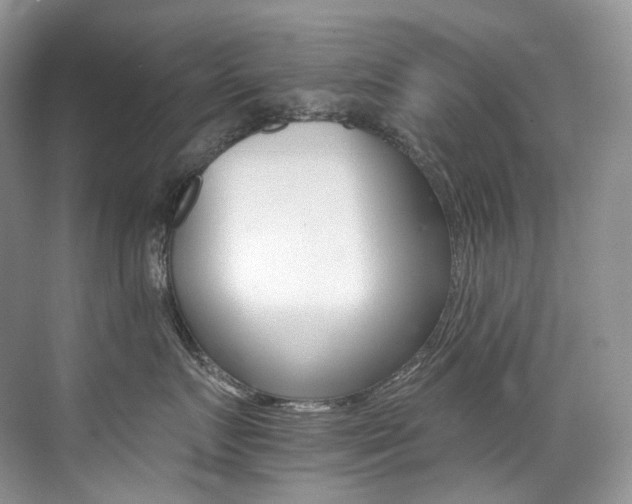 X0000076040719200609221120