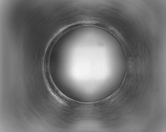 X0000076040726200609221119