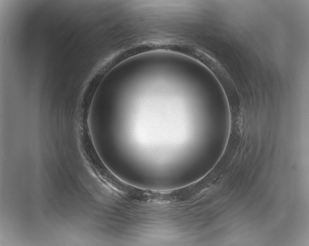 X0000076040732200609221119