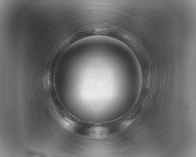 X0000076040748200609221119