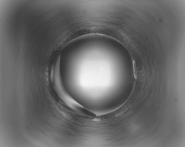 X0000076040750200609221119