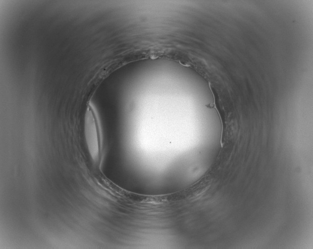 X0000076040756200609221119