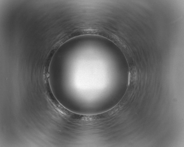 X0000076040764200609221119