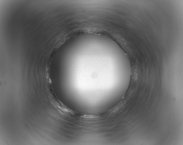 X0000076040766200609221119